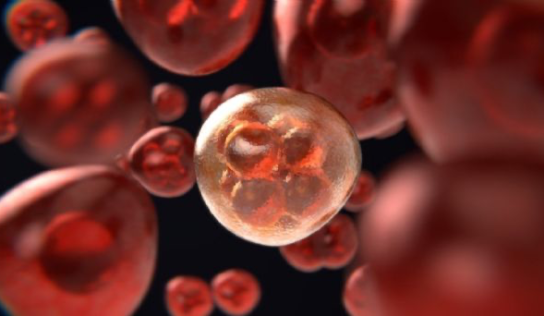 Investigadores usarán nanoanticuerpos para combatir infecciones por hongos a niños con cáncer
