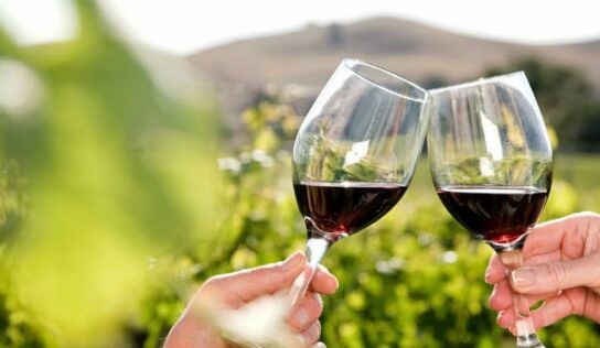 Prevén presentar ley de vitivinicultura en Querétaro