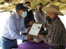 Se comercializa el 70% de la producción de tilapia y trucha en Querétaro: SEDEA