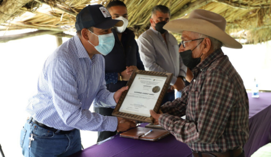 Se comercializa el 70% de la producción de tilapia y trucha en Querétaro: SEDEA