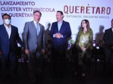 Crean en Querétaro el primer Clúster Vitivinícola de México