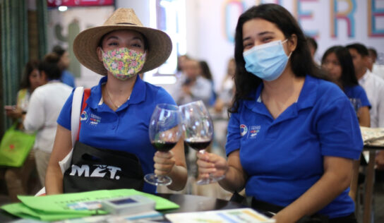 Sector vitivinícola en Querétaro se consolida como un referente mundial