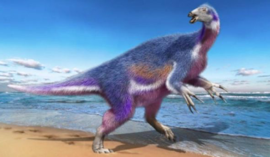 Terizinosaurio, nueva especie de dinosaurio con temibles garras hallada en Japón