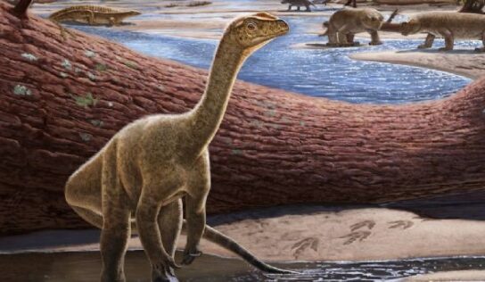 Descubren el dinosaurio más antiguo conocido de África