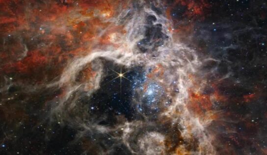 Telescopio Webb capta ‘Tarántula cósmica’ por primera vez