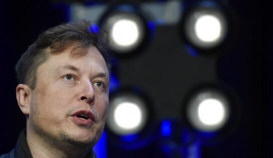 Podría Elon Musk erradicar bots y cuentas spam de Twitter