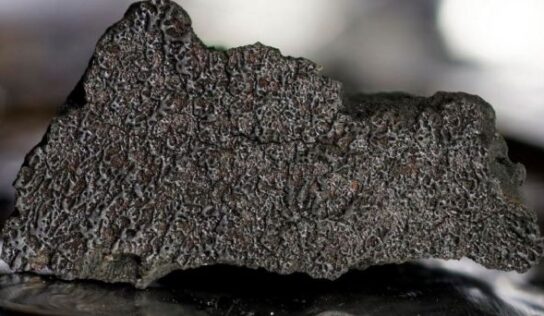 Meteorito que cayó en la Tierra en 2021 contiene todos los ingredientes para la vida