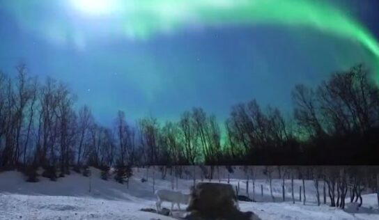 La NASA lanza dos cohetes a las entrañas de una aurora boreal