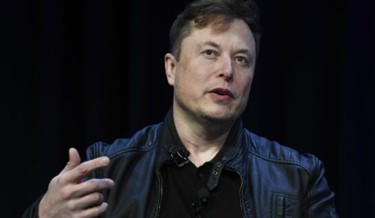 Usuarios votan a favor para que Elon Musk deje Twitter