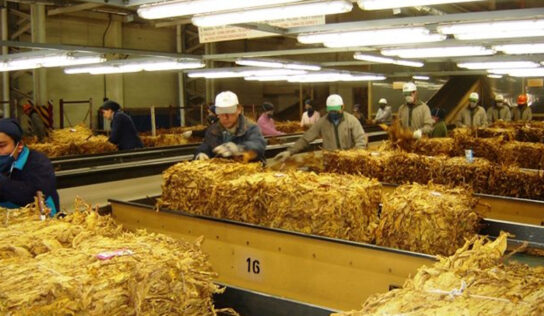 Ley para el Control del Tabaco afectará al 25% de la planta productiva del país: Canacintra