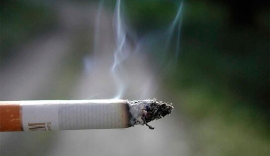 CANIRAC Querétaro estima pérdidas del 30% por nueva Ley de Tabaco