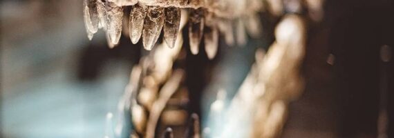 Momia de dinosaurio despierta nuevas incógnitas para la ciencia [Fotos]
