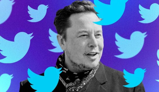 Elon Musk busca nuevo CEO de Twitter para finales de 2023