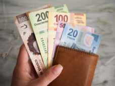 Espera ST Querétaro incremento en empresas que paguen utilidades