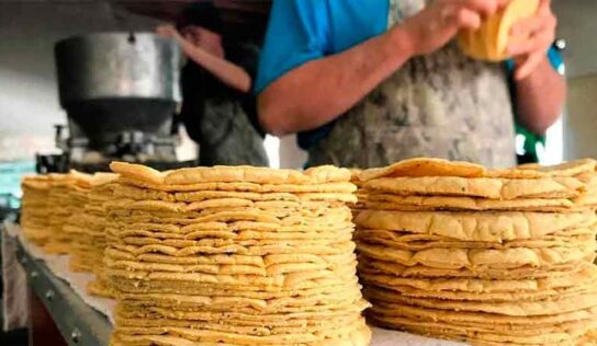 Hasta el 10% de las tortillerías en Querétaro podrían ser informales: Productores de Masa y Tortilla