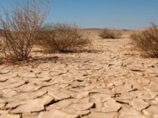Suman 15 mil productores beneficiados por programas para combatir la sequía en Querétaro